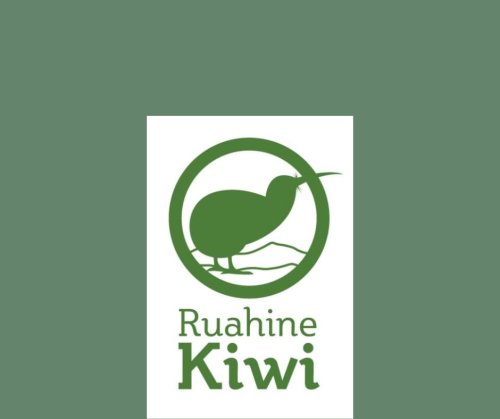 RUAHINE KIWI EGG - DONATION